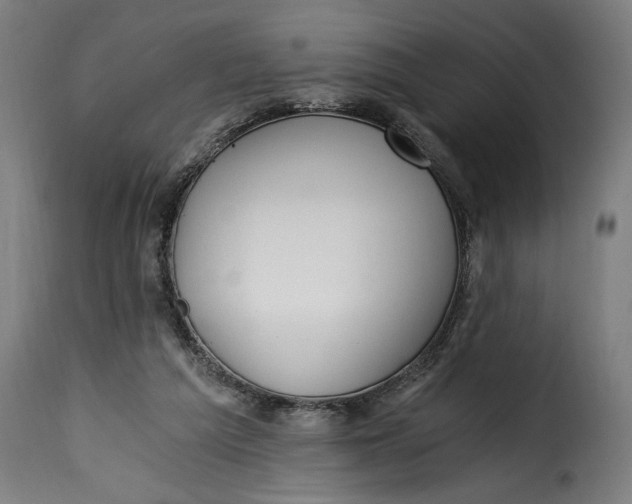 X0000115240209200911201627