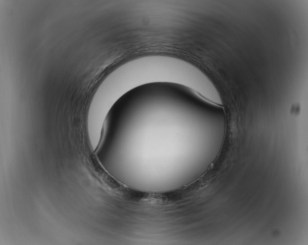 X0000115240211200911201627