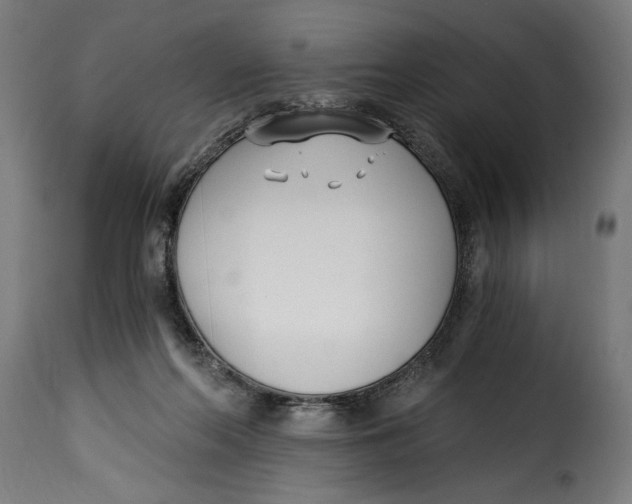 X0000115240214200911201627