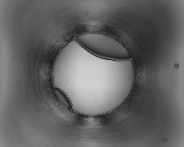 X0000115240221200911201627