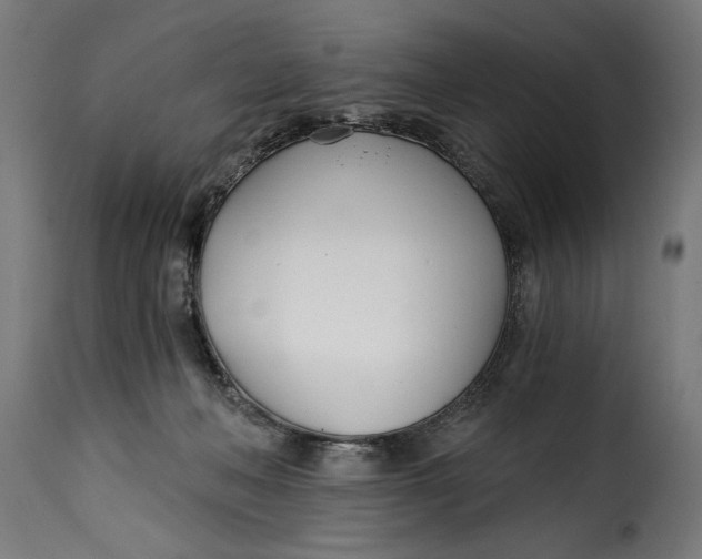 X0000115240222200911201627