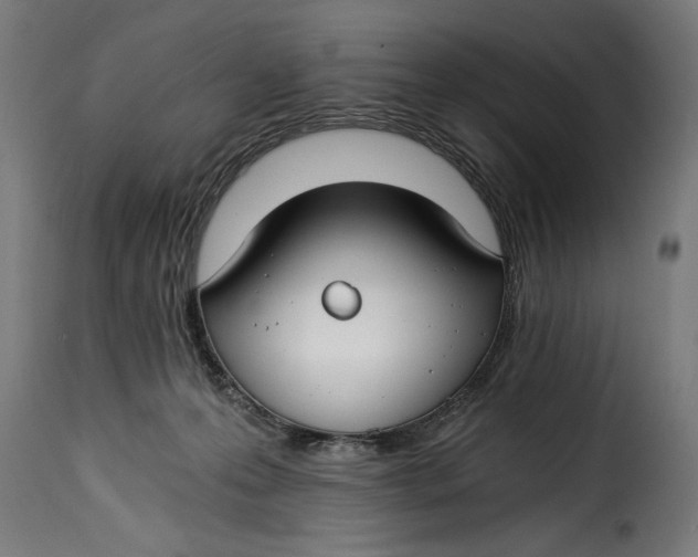 X0000115240223200911201627
