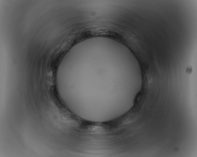 X0000115240224200911201627