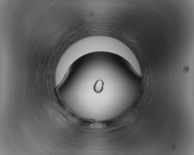 X0000115240225200911201627