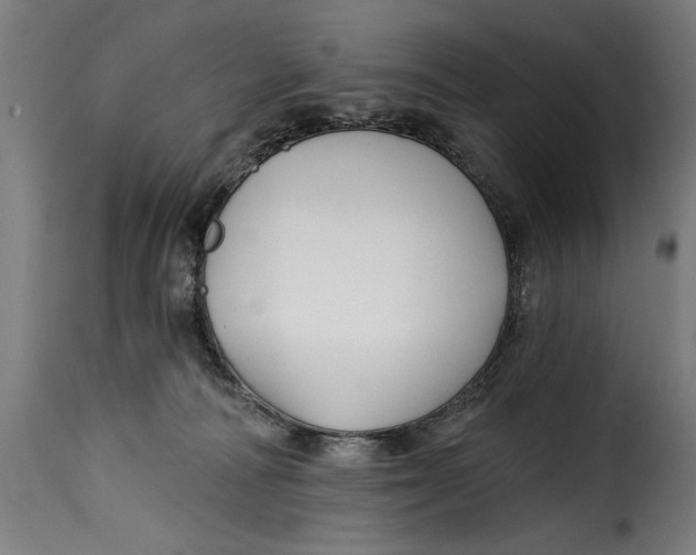 X0000115240226200911201627