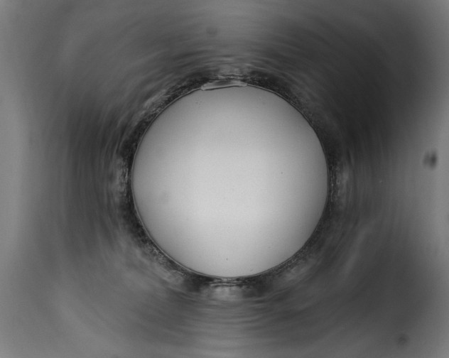 X0000115240228200911201627