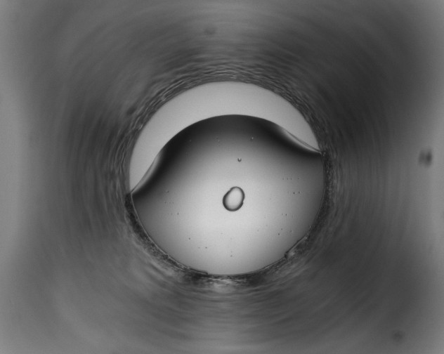 X0000115240229200911201627