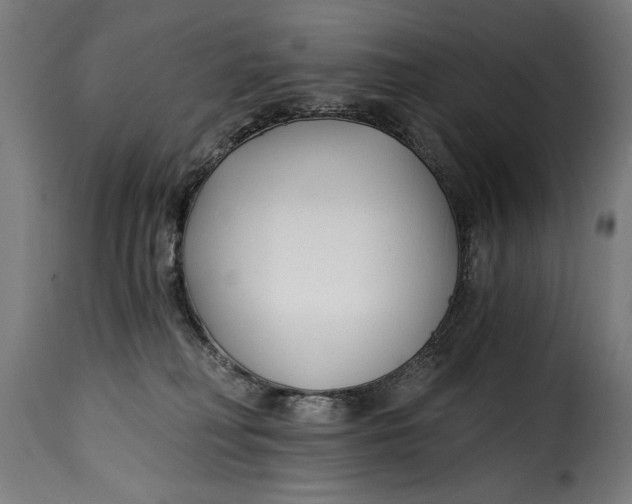 X0000115240230200911201627