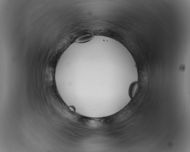 X0000115240232200911201627