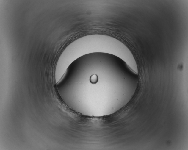 X0000115240233200911201627