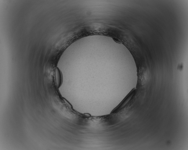 X0000115240235200911201627