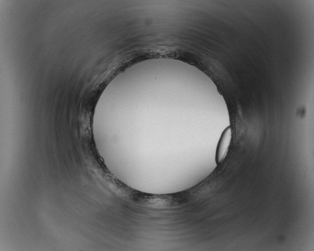 X0000115240236200911201627