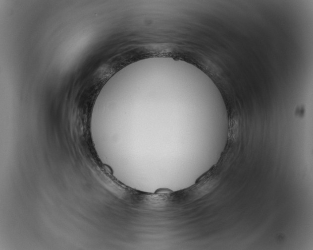 X0000115240238200911201627