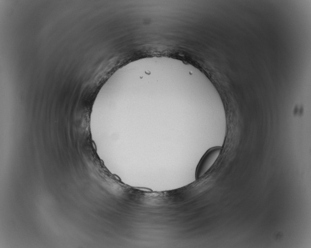 X0000115240240200911201627