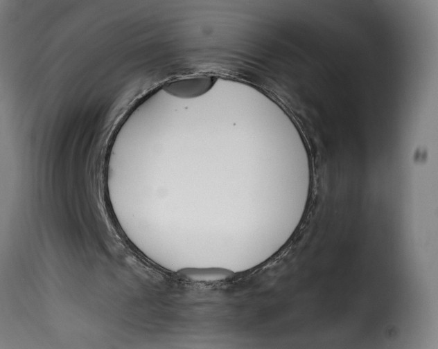 X0000115240241200911201626