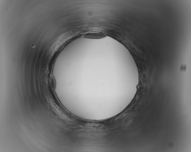X0000115240242200911201626