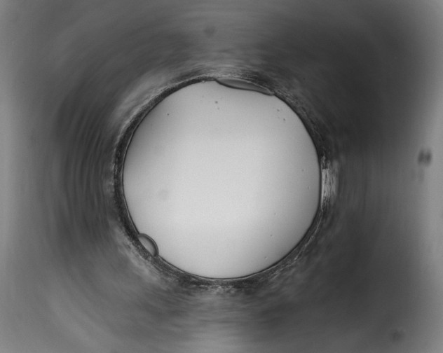 X0000115240243200911201626
