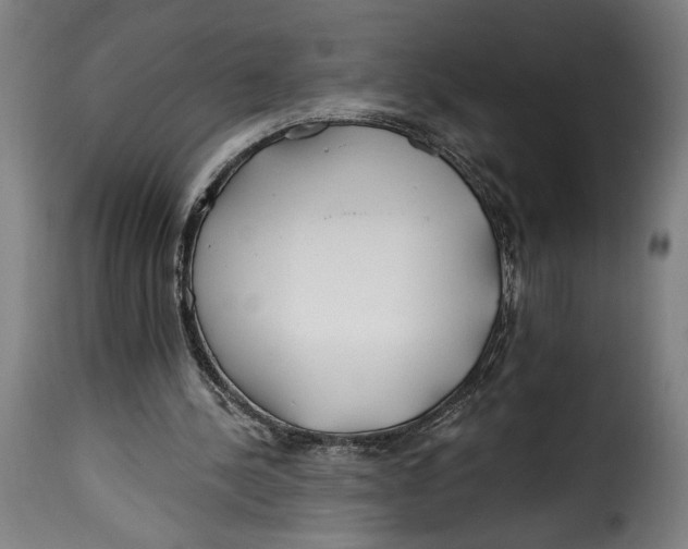 X0000115240244200911201626