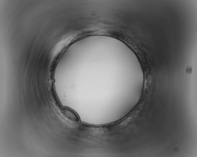 X0000115240245200911201626