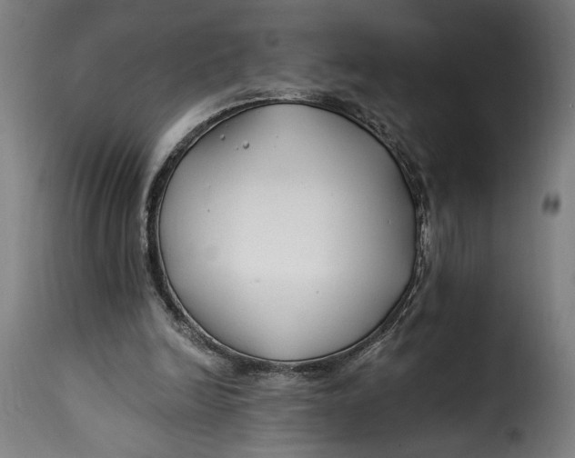 X0000115240246200911201626