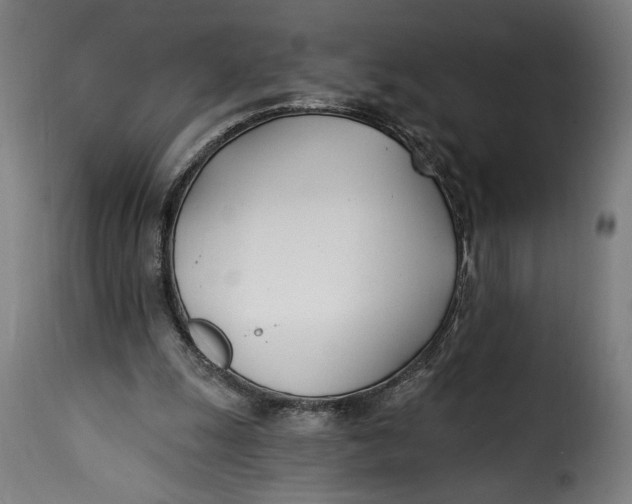 X0000115240247200911201626