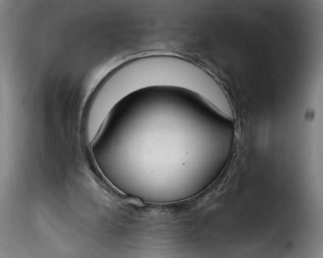 X0000115240248200911201626