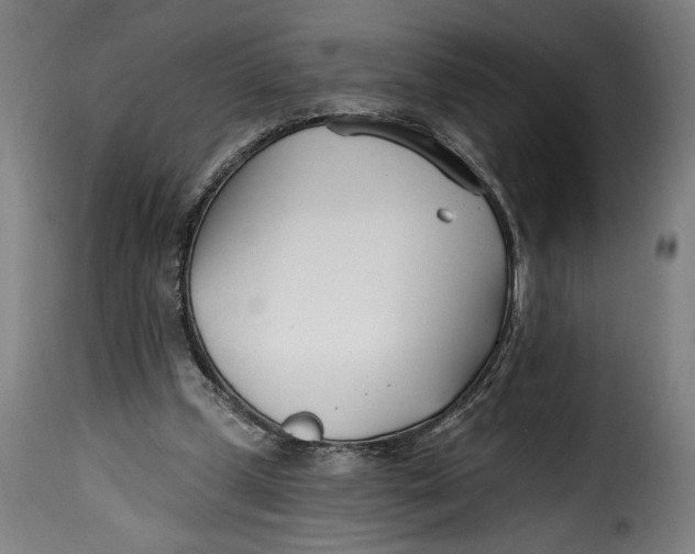 X0000115240249200911201626
