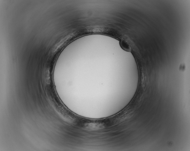 X0000115240251200911201626
