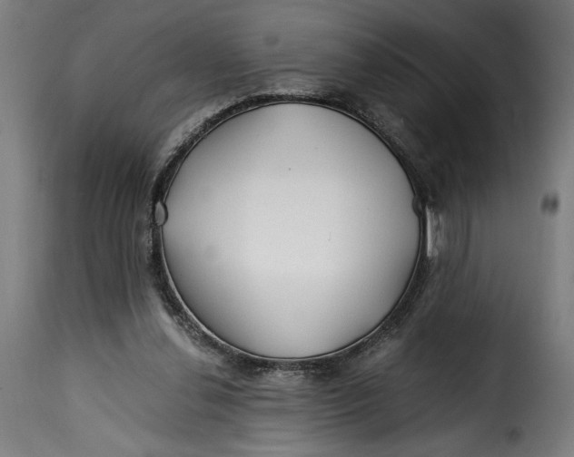 X0000115240252200911201626