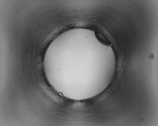 X0000115240257200911201626