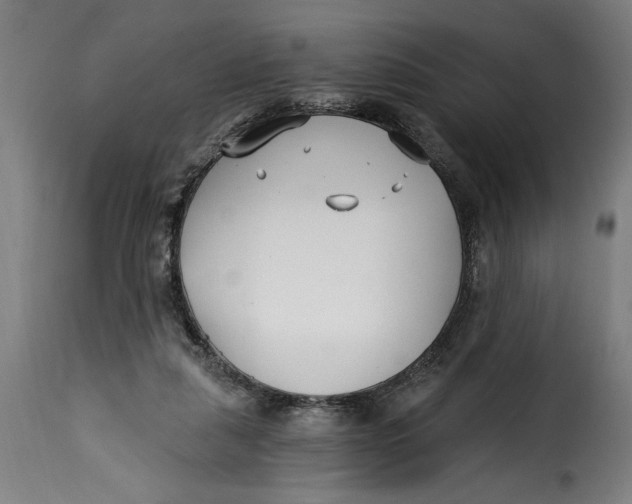 X0000115240259200911201626