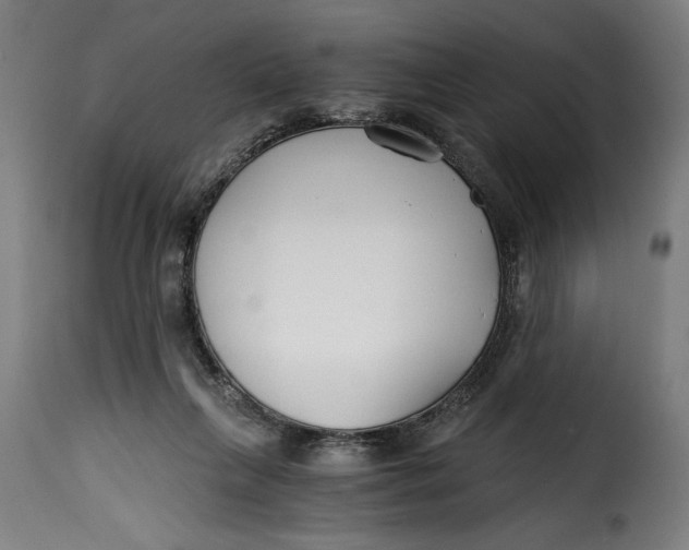 X0000115240263200911201626