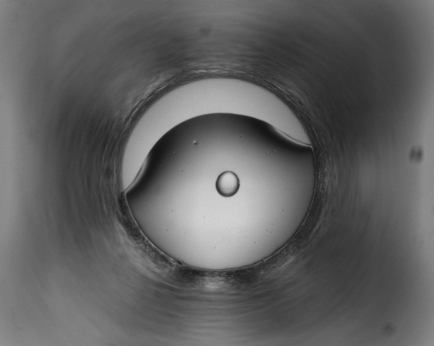 X0000115240264200911201626