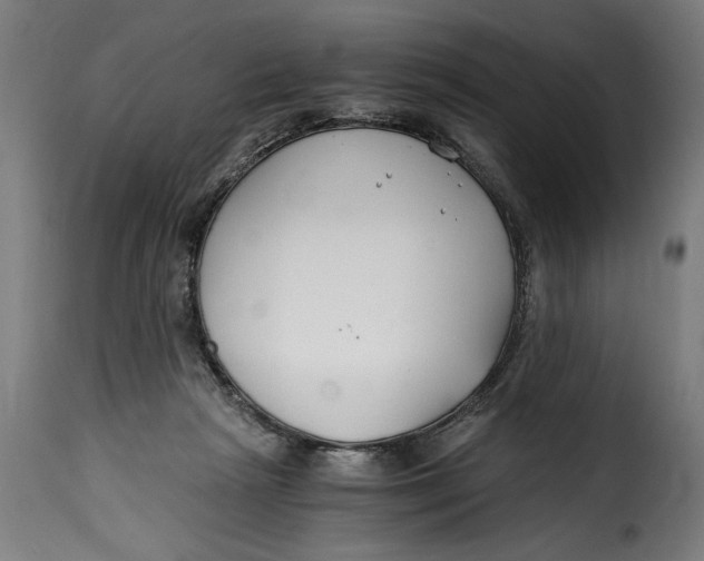 X0000115240265200911201626