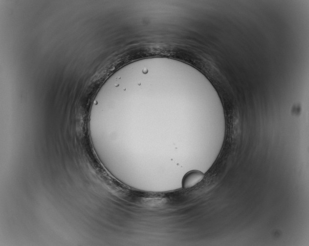 X0000115240266200911201626