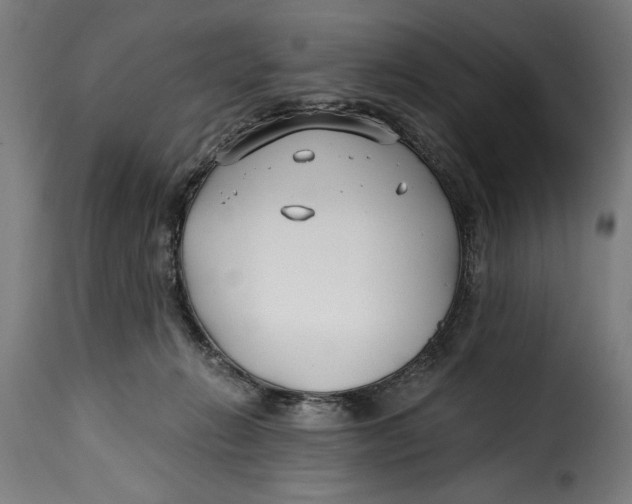 X0000115240270200911201627