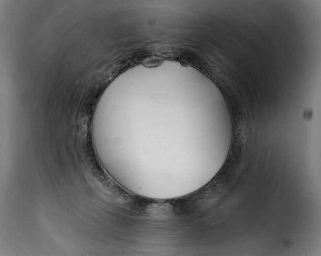 X0000115240271200911201627