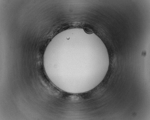 X0000115240272200911201627