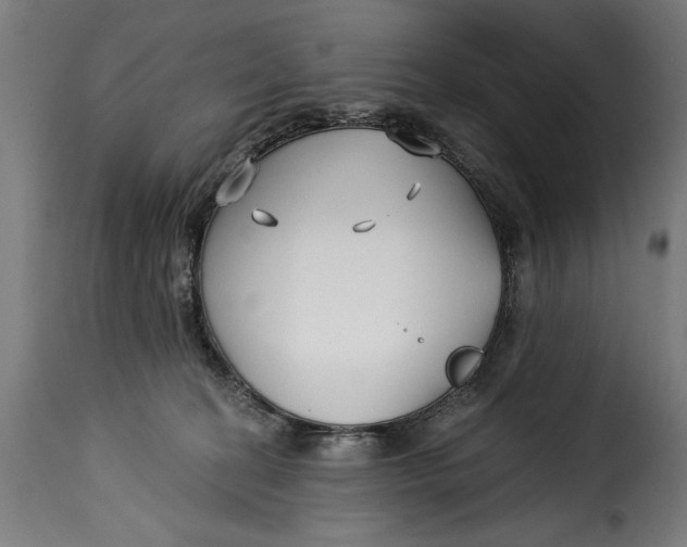 X0000115240274200911201627