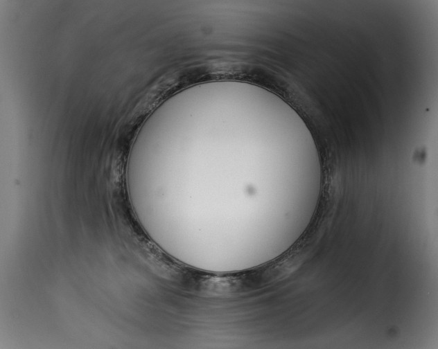 X0000115240277200911201627