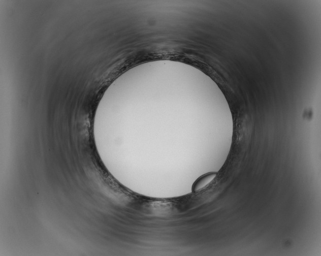 X0000115240279200911201627