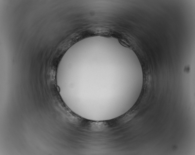 X0000115240281200911201627
