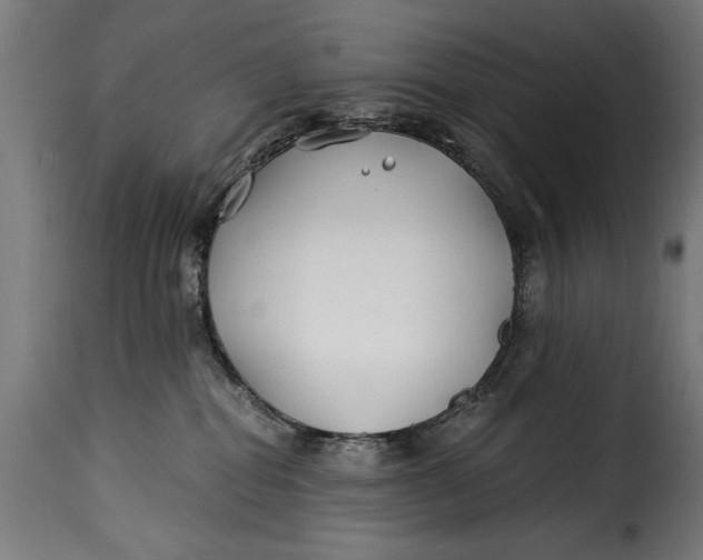 X0000115240282200911201627