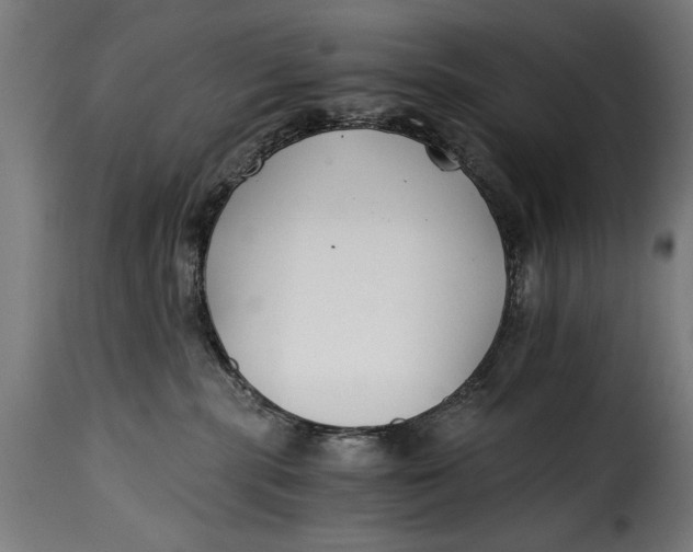 X0000115240283200911201627