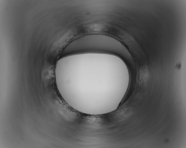 X0000115240284200911201627