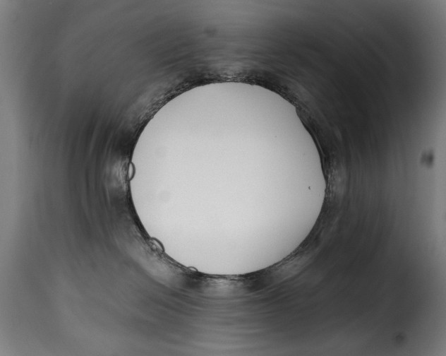 X0000115240286200911201627
