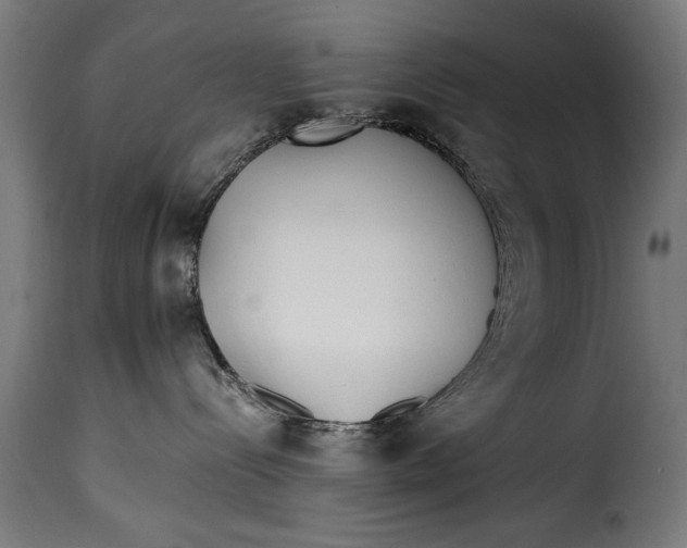 X0000115240288200911201627
