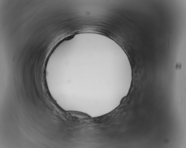 X0000115240289200911201626