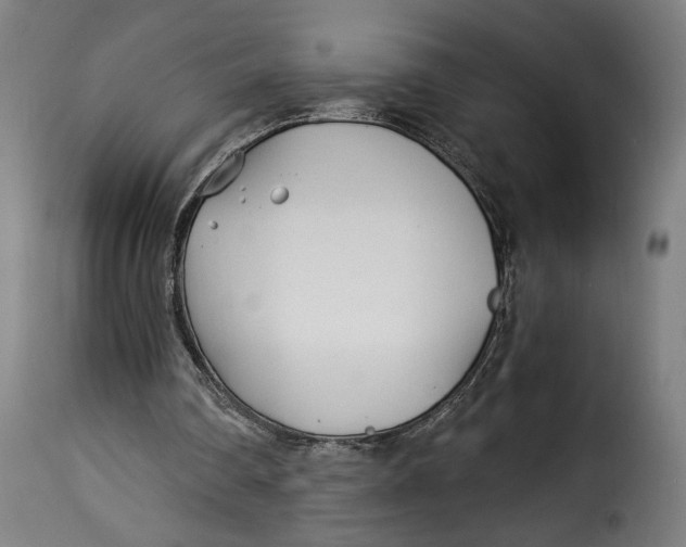 X0000115240290200911201626