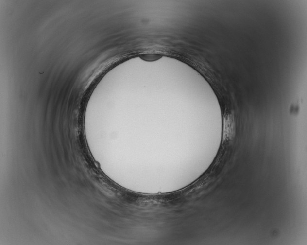 X0000115240291200911201626